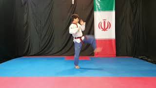 Final - Mohammad Taha Heydari Rostami - Poom U 14 M Iri Isfwstpvc20