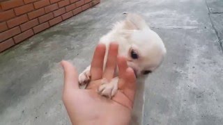20151207 163707