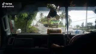 Story wa truk Rojokoyo 354