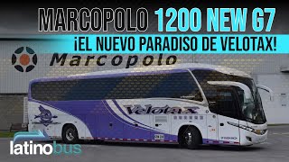 Entrega Velotax - Nuevo Marcopolo Paradiso 1200 New G7 Scania K400