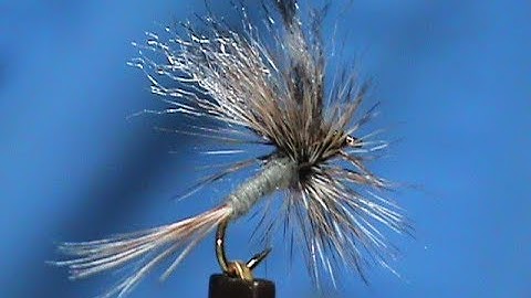 Beginner Fly Tying a Poly Wing Adams with Jim Misiura