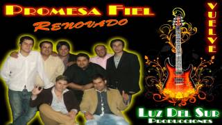 Video thumbnail of "Promesa Fiel - Vuelve"