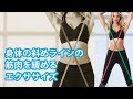 ストレッチポール │ 手足の対角運動 StretchPole® Exercise; Diagonal Stretch