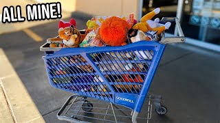 I Grabbed EVERYTHING I Could Until My Cart OVERFLOWED!
