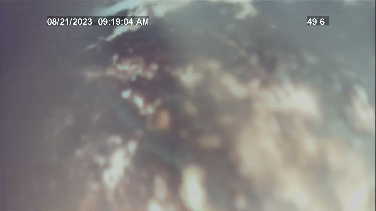 131DL - WO # 751272 - VID # 1