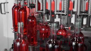 Precision wine bottling with integrated cleaning efficiency - Sraml I24P32