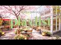 Morning Is You 🌿 따뜻한 봄 아침 카페 음악 | Relaxing Spring Cafe Music & Study Playlist