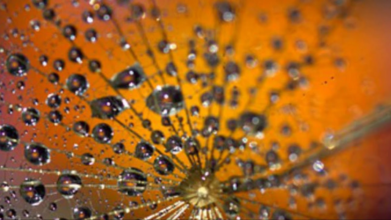 1 minute stress relief,1 minute meditation music,zen meditation music flute,1 minute peaceful music