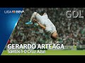 Video de Arteaga