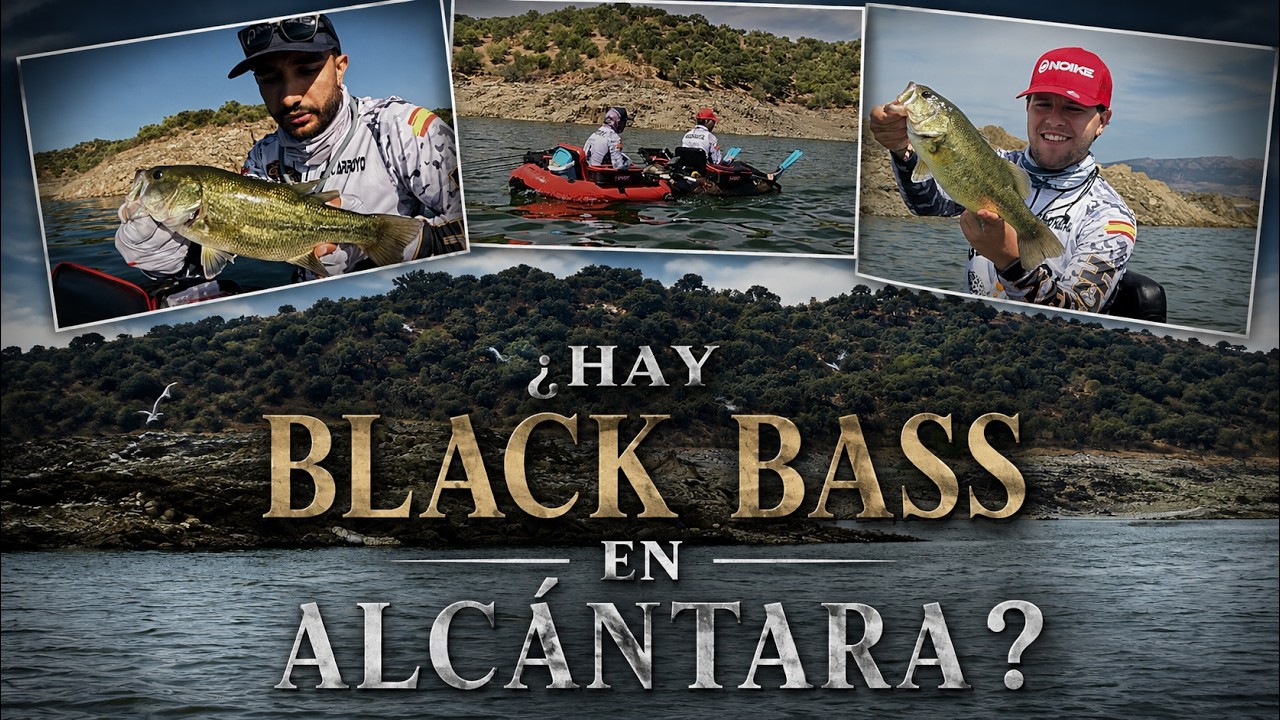 ¿HAY BLACK BASS EN ALCÁNTARA?