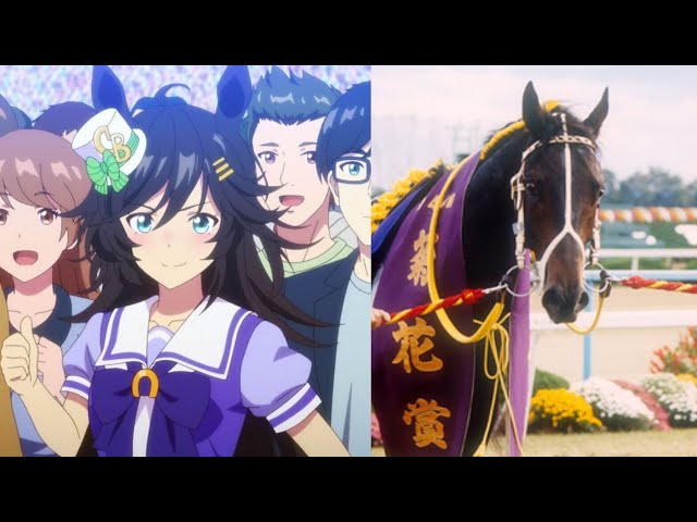 希少当時物ミスターシ―ビ―三冠達成 Uma Musume's Real History - Mr. C.B. final race (Tenno Sho