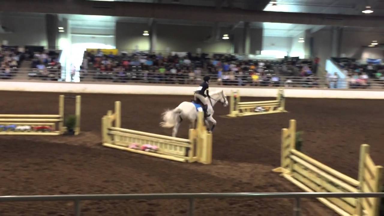 IEA Zone 4 Finals 2015 Team YouTube Iea zone 4 finals 2015 team youtube