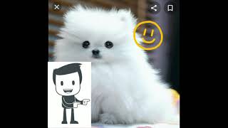 México y sus costumbres (contla de Juan Cuamatzi)