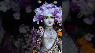 ও কৃষ্ণ নামে ভাসাও নয়ন 🌺🙏🏻#shortvideo# YouTube short