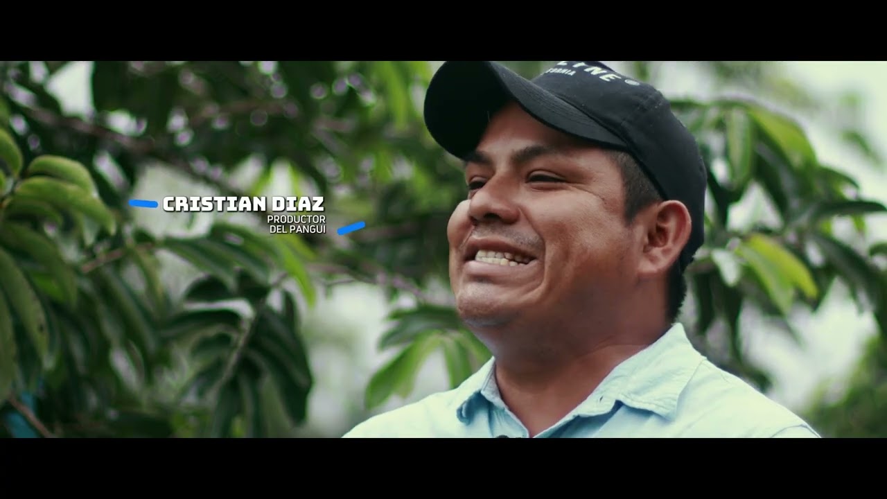 Video Sistena Agroforestales Evento FORAGUA