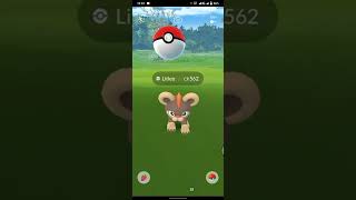 How To Catch Litleo  Pokemon | Pokemon Go | Two Side Pokemon.