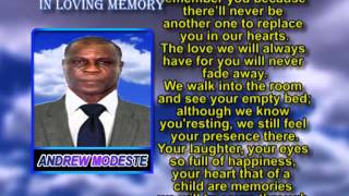 Andrew Modeste MEM