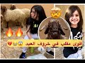 اقوى مقلب في خروف العيد    