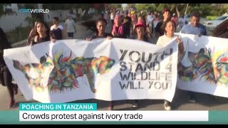 Poaching in Tanzania: Crowds protest against ivory trade