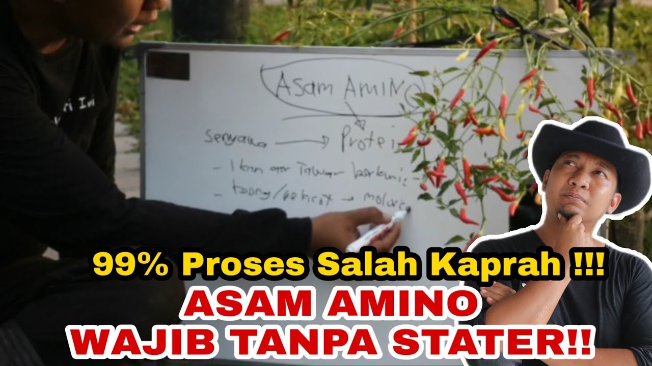 PRINSIP UTAMA PEMBUATAN ASAM AMINO, AWAS 99% ORANG KELIRU !!