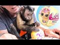 Monkey LOL Surprise Pets Unboxing!