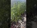 Accident de personne dans le centre ville de Marseille le tramway a fait boom