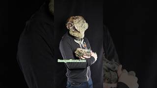 I raised the world’s largest cane toad. #shorts