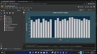 Image Classifier - Sign Language