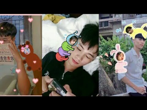 Cách Tạo Trend Ghép Mặt Vào Con Vật Đáng Yêu Bám Vào Người Khác | Tạo Trend  Tik Tok - Youtube