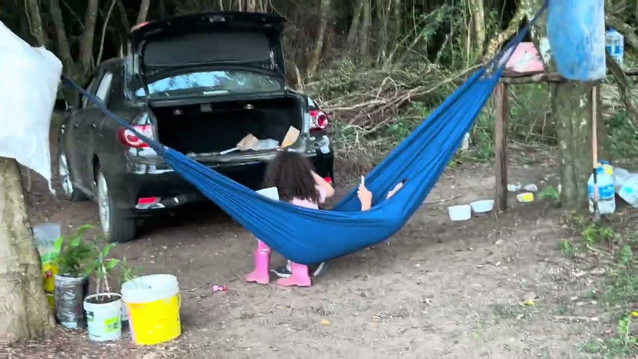 PLANTAMOS  ÁRVORES FRUTÍFERAS