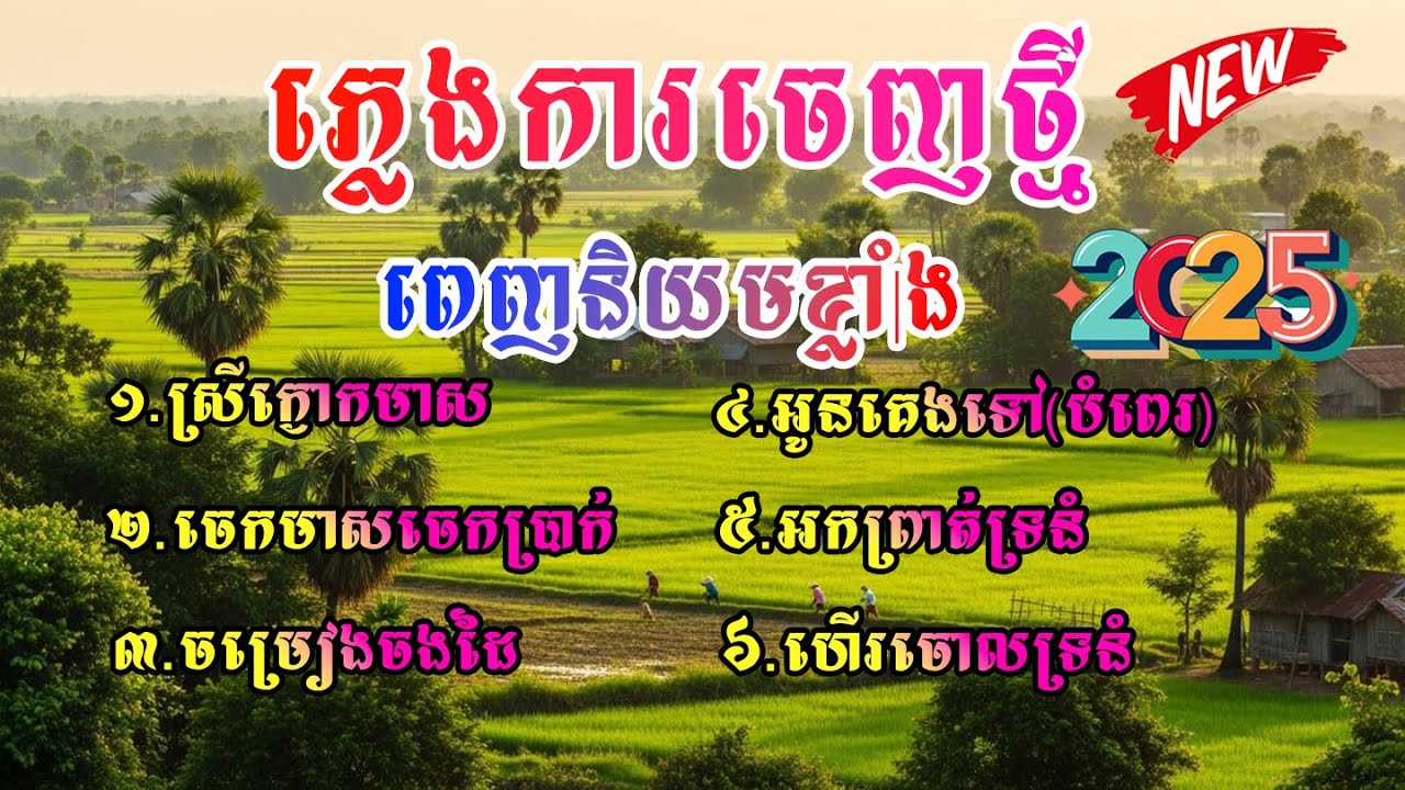 ភ្លេងការអកកាដង់ កំពុងពេញនិយមខ្លាំងចាក់បាស់ស្តាប់ ប្រចាំឆ្នាំ២០២៥ ចូល២០២៦