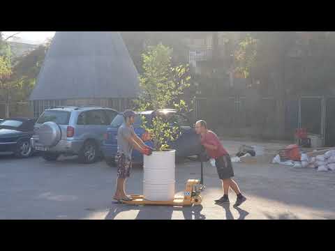 მცურავი ხე Vol 2