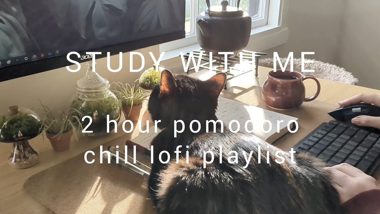 2 HOUR STUDY WITH ME | chill lofi playlist | pomodoro 25/5 - YouTube