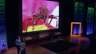 The Intersection Of Art, Science, And Nature Catherine Chalmers Storytellers Summit 2019