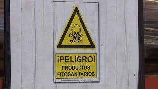 Pesticide problem: Spanish citrus farmers worried by upcoming ban on chlorpyrifos