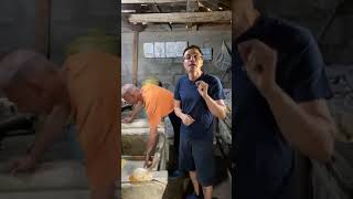 EKMEK ZARARLI MI ? HANGİ UN KULLANILMALI DR ENDER SARAÇ HOCA ANLATIYOR #ekmek #siyezunu