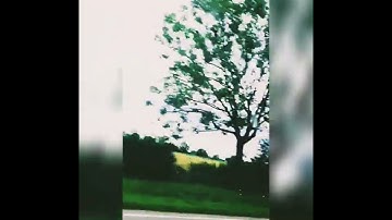 القرآن الكريم سورة مريم #راحة_نفسية