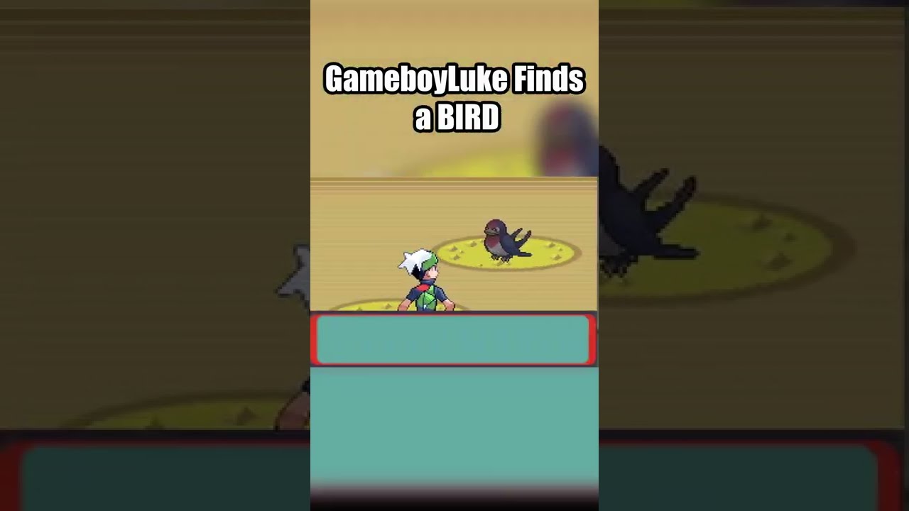 GameboyLuke Finds a BIRD