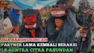 DUA BARONG LINCAH🔥 - LS.GENTAR CITRA PASUNDAN - Sapan, Kp.Babakan Cianjur, 16 Oktober 2021