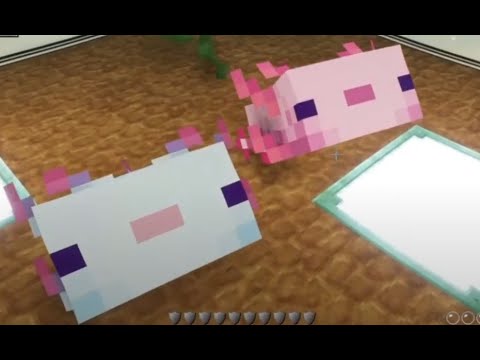 【創世神 Minecraft】- 89養蠑螈
