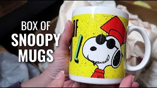 What s in this box of Snoopy Mugs Snoopy Finds CollectPeanuts com