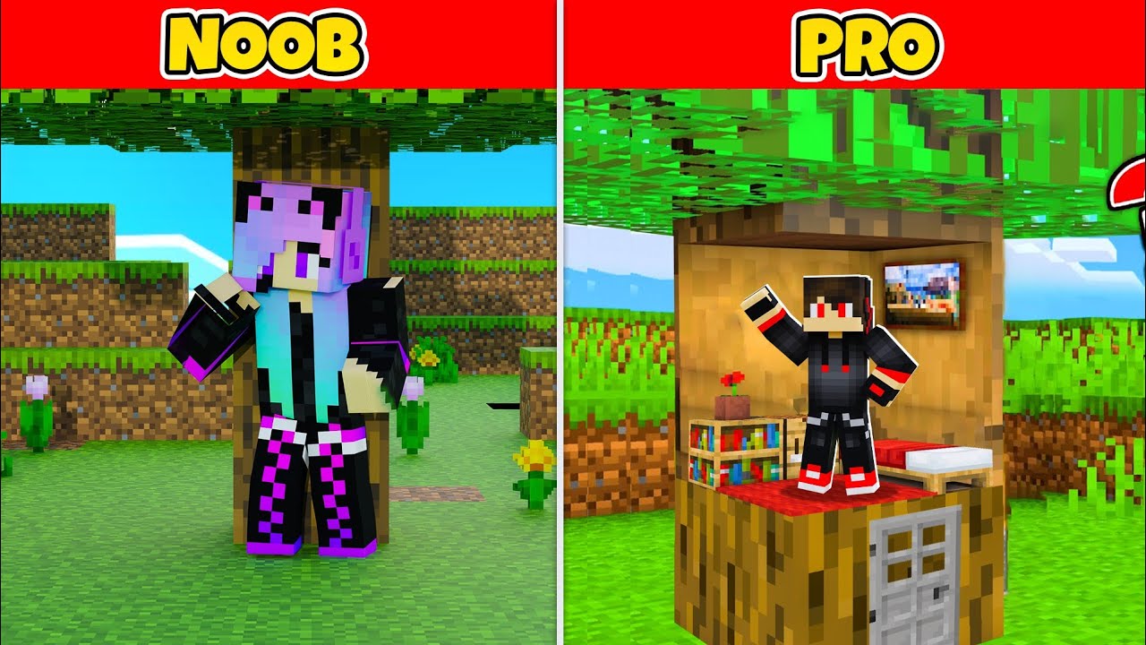 NOOB vs PRO: HIDE AND SEEK CHALLENGE