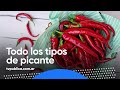 Todo sobre el picante - Cocineros Argentinos