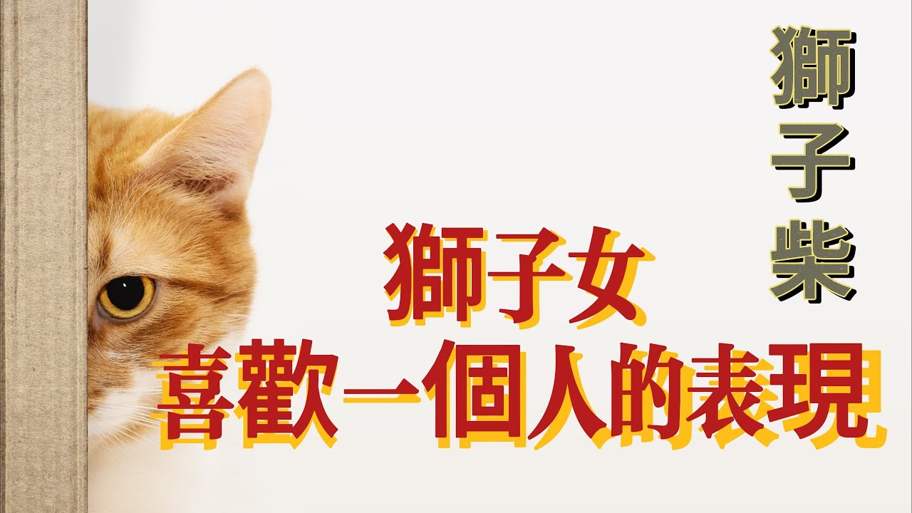 獅子柴｜火象｜獅子女喜歡一個人的表現 #獅子座 #曖昧 #感情 #星座