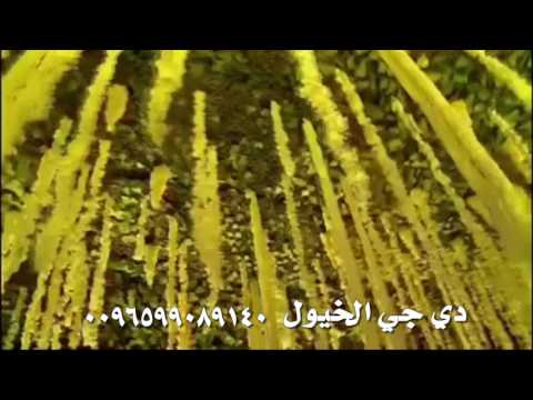 انتظرته قلبي احساسه يقول خريف شركة الخيول ساوند 