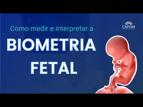 Vídeo: O que é biometria fetal?