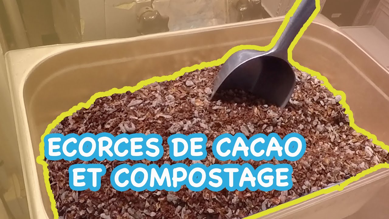 ♻️🍫✨ Du chocolat au compost : les écorces de cacao trouvent une seconde vie à Paris !