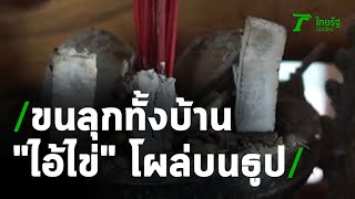 อึ้ง "ไอ้ไข่" โผล่บนธูป | 06-08-63 | ข่าวเช้าหัวเขียว