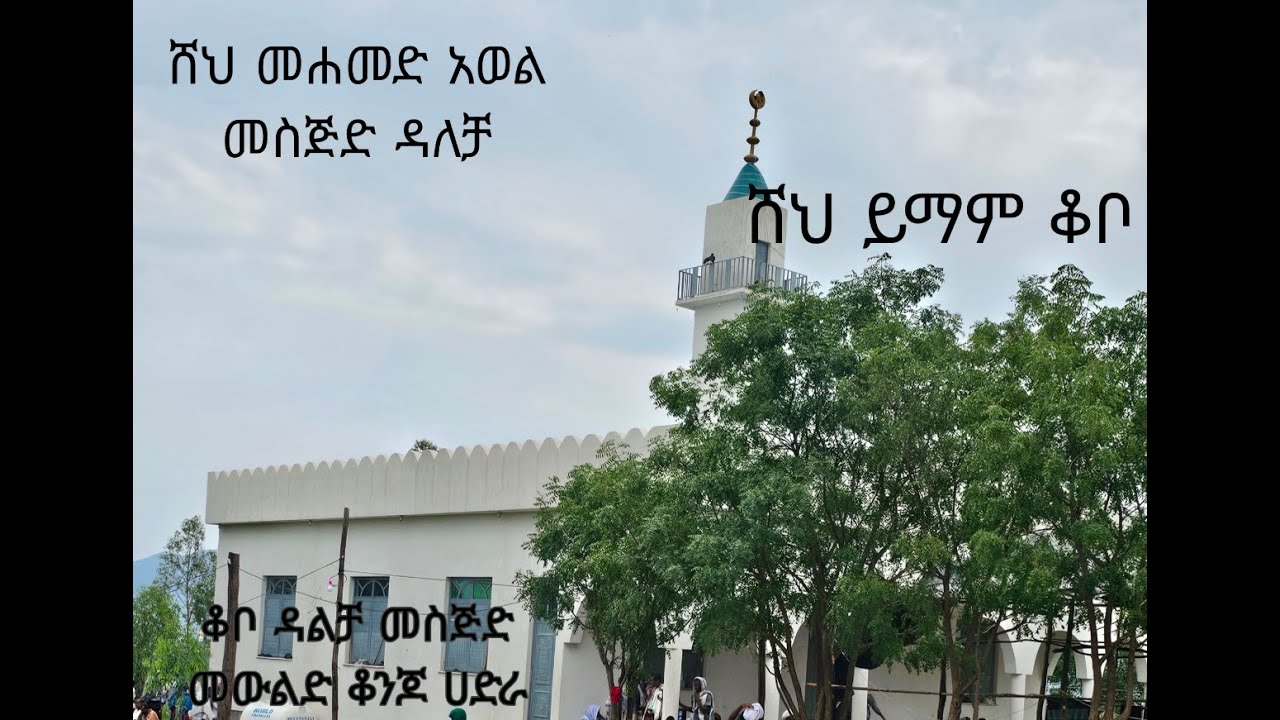 ራምሳ ሸህ ይማም ቆቦ // sheh yimam qobu #menzuma #ሸህይማምቆቦ #ethiopia #old #oldmenzuma #alfaruk #alfaruq 
