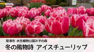 アミンチュニュース】水生植物公園みずの森 冬の風物詩 アイス